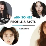 Ahn So Hee Biography