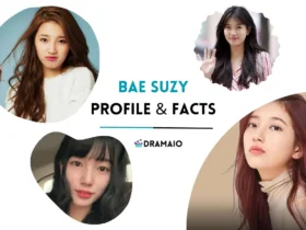 Bae Suzy Profile and facts