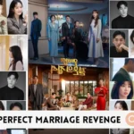 Perfect Marriage Revenge (2023 TV Series)