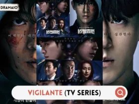 Vigilante TV Series