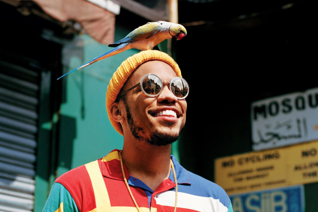 Anderson Paak Race, Ethnicity, Mom, Kids, Wife, Parents, Net Worth, Instagram, Height